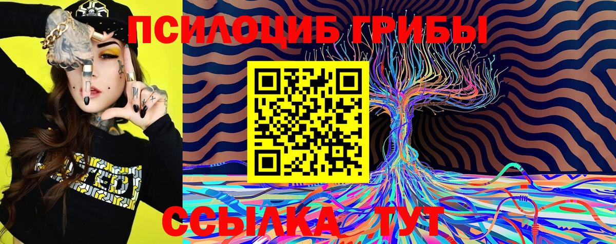 закладки  Псилоцибиновые грибы Psilocybe  Вход с VPN  Коммунар 