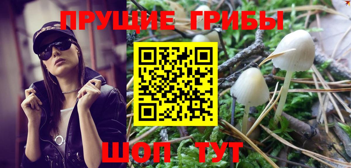 Галлюциногенные грибы Magic Shrooms Коммунар